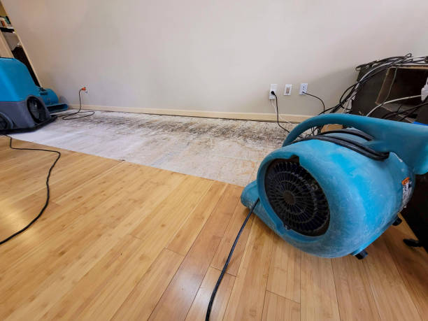 Professional Sewage Cleanup technician working in Farmington, MN